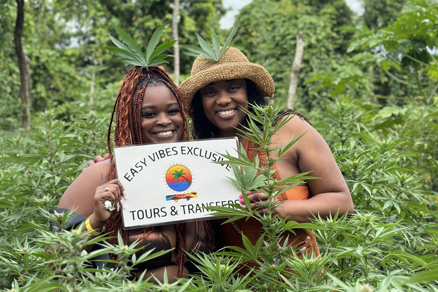 cannabis farm with easy vibes tours