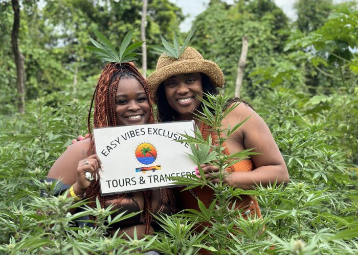 cannabis farm with easy vibes tours